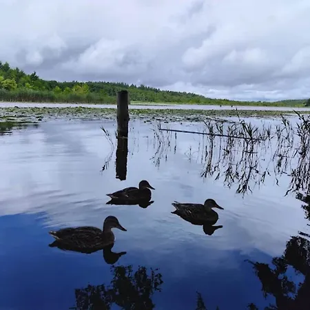 Im Mirow Semesterbostad Granzow